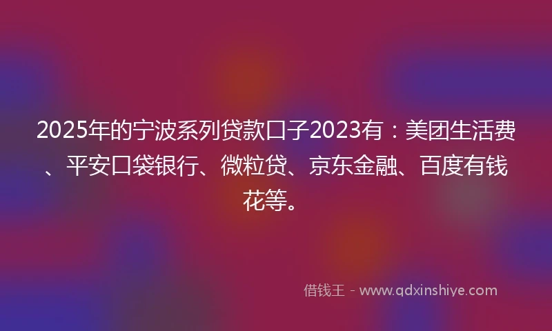 2025年的宁波系列贷款口子2023有：美团生活费、平安口袋银行、微粒贷、京东金融、百度有钱花等。