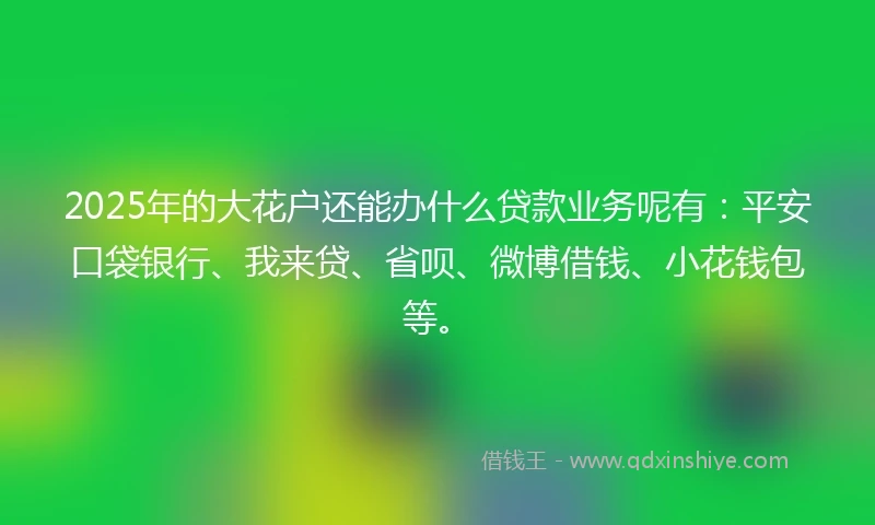 2025年的大花户还能办什么贷款业务呢有：平安口袋银行、我来贷、省呗、微博借钱、小花钱包等。
