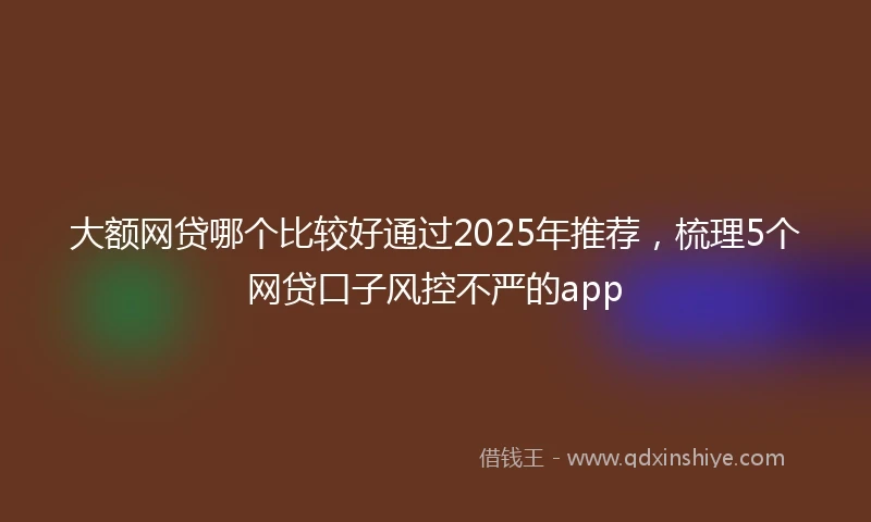 大额网贷哪个比较好通过2025年推荐，梳理5个网贷口子风控不严的app