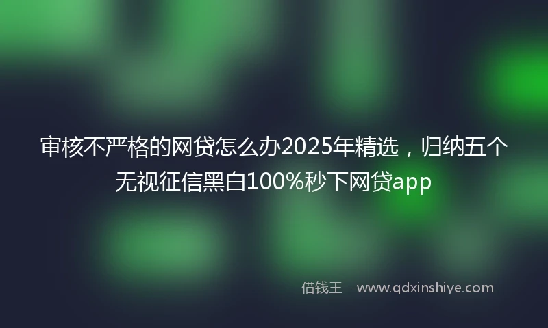 审核不严格的网贷怎么办2025年精选，归纳五个无视征信黑白100%秒下网贷app