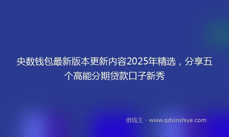 央数钱包最新版本更新内容2025年精选，分享五个高能分期贷款口子新秀