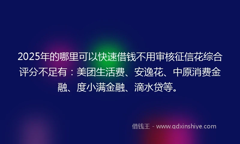 2025年的哪里可以快速借钱不用审核征信花综合评分不足有：美团生活费、安逸花、中原消费金融、度小满金融、滴水贷等。