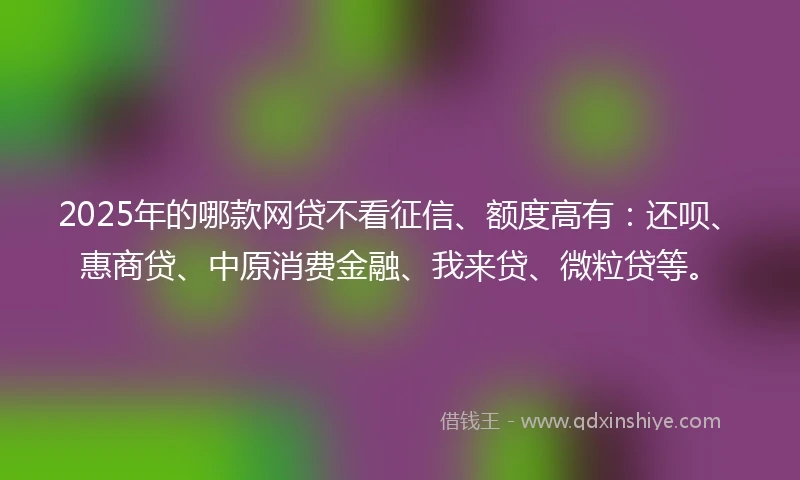 2025年的哪款网贷不看征信、额度高有：还呗、惠商贷、中原消费金融、我来贷、微粒贷等。