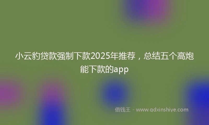 小云豹贷款强制下款2025年推荐，总结五个高炮能下款的app