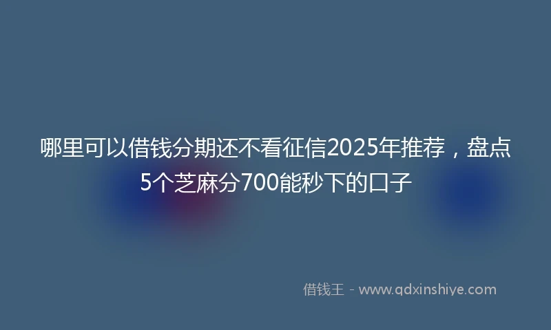 哪里可以借钱分期还不看征信2025年推荐，盘点5个芝麻分700能秒下的口子