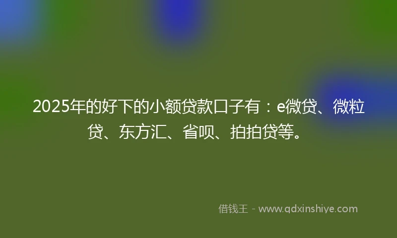 2025年的好下的小额贷款口子有：e微贷、微粒贷、东方汇、省呗、拍拍贷等。