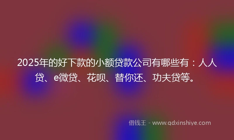 2025年的好下款的小额贷款公司有哪些有：人人贷、e微贷、花呗、替你还、功夫贷等。