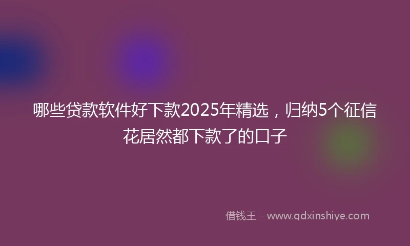哪些贷款软件好下款2025年精选，归纳5个征信花居然都下款了的口子
