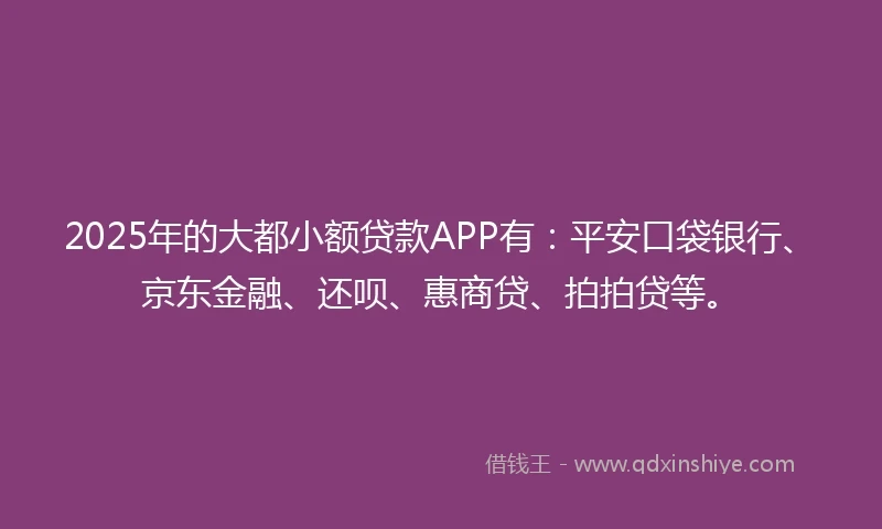 2025年的大都小额贷款APP有：平安口袋银行、京东金融、还呗、惠商贷、拍拍贷等。