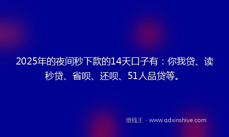 2025年的夜间秒下款的14天口子有：你我贷、读秒贷、省呗、还呗、51人品贷等。