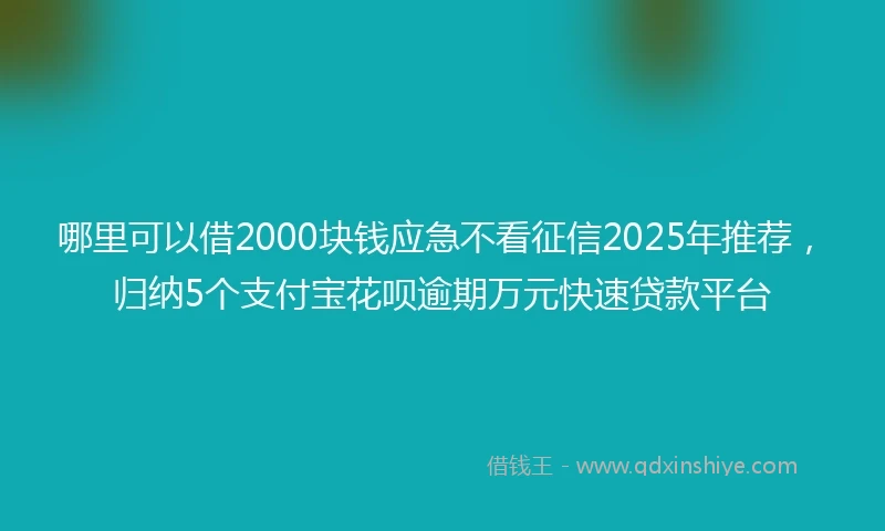 哪里可以借2000块钱应急不看征信2025年推荐，归纳5个支付宝花呗逾期万元快速贷款平台