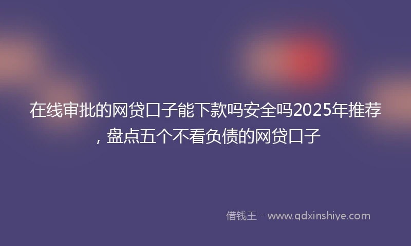 在线审批的网贷口子能下款吗安全吗2025年推荐，盘点五个不看负债的网贷口子