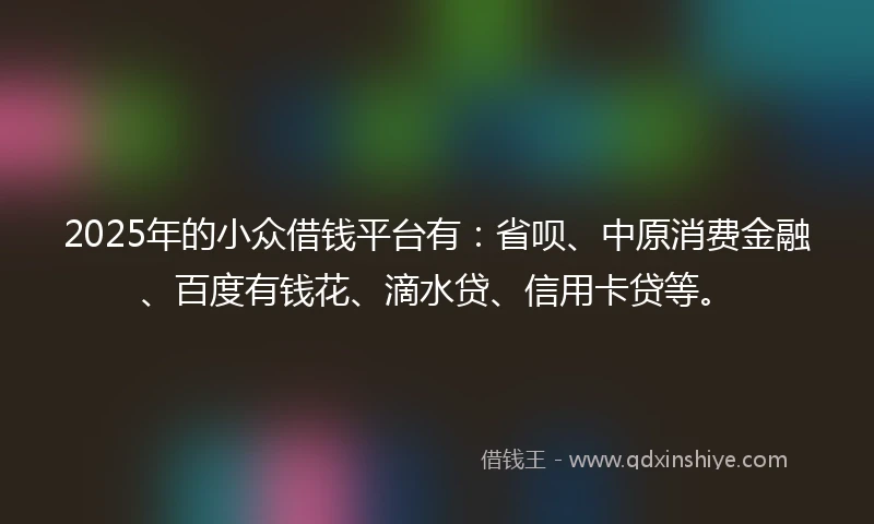 2025年的小众借钱平台有：省呗、中原消费金融、百度有钱花、滴水贷、信用卡贷等。