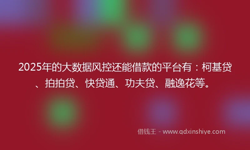 2025年的大数据风控还能借款的平台有：柯基贷、拍拍贷、快贷通、功夫贷、融逸花等。