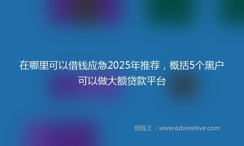 在哪里可以借钱应急2025年推荐，概括5个黑户可以做大额贷款平台