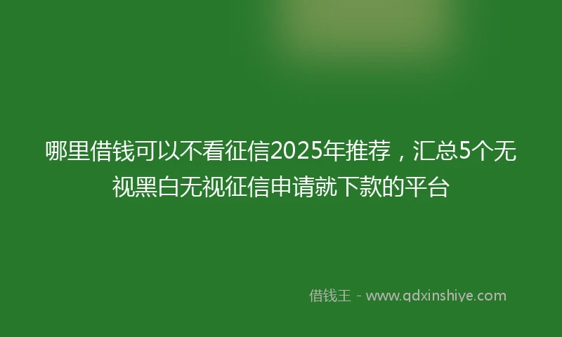 哪里借钱可以不看征信2025年推荐，汇总5个无视黑白无视征信申请就下款的平台