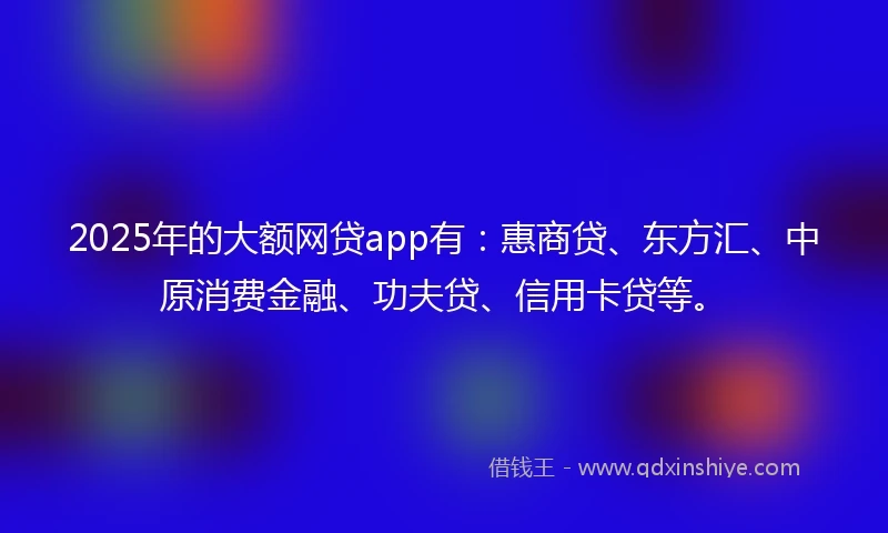 2025年的大额网贷app有:惠商贷、东方汇、中原消费金融、功夫贷、信用卡贷等。