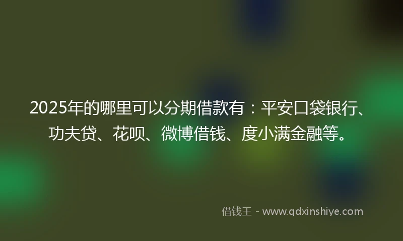 2025年的哪里可以分期借款有：平安口袋银行、功夫贷、花呗、微博借钱、度小满金融等。