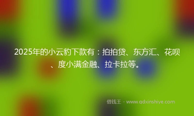 2025年的小云豹下款有：拍拍贷、东方汇、花呗、度小满金融、拉卡拉等。