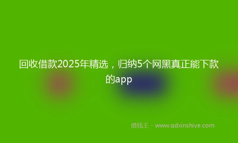 回收借款2025年精选，归纳5个网黑真正能下款的app