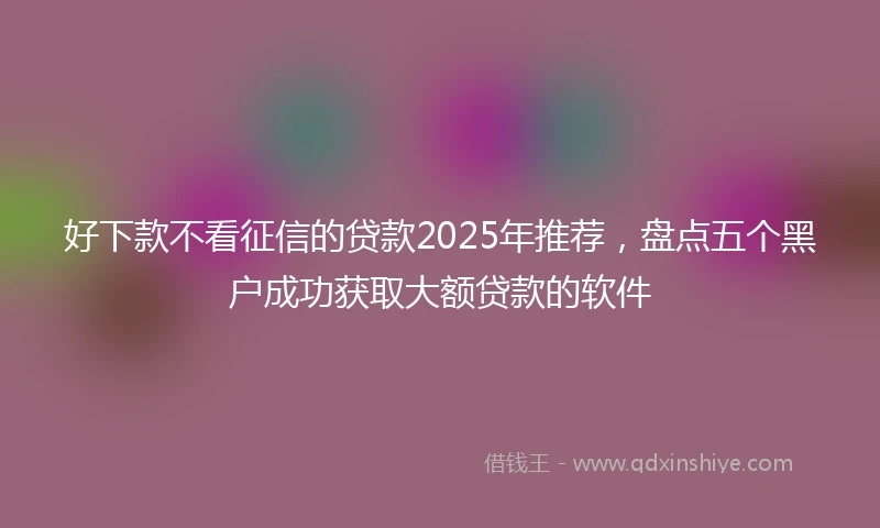 好下款不看征信的贷款2025年推荐，盘点五个黑户成功获取大额贷款的软件