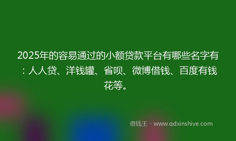 2025年的容易通过的小额贷款平台有哪些名字有：人人贷、洋钱罐、省呗、微博借钱、百度有钱花等。