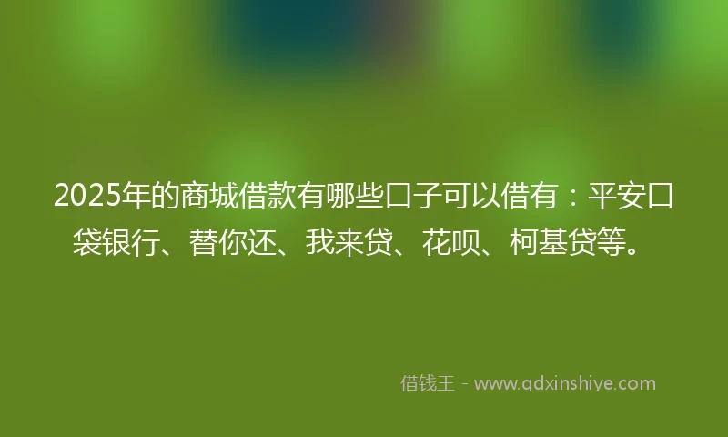 2025年的商城借款有哪些口子可以借有：平安口袋银行、替你还、我来贷、花呗、柯基贷等。