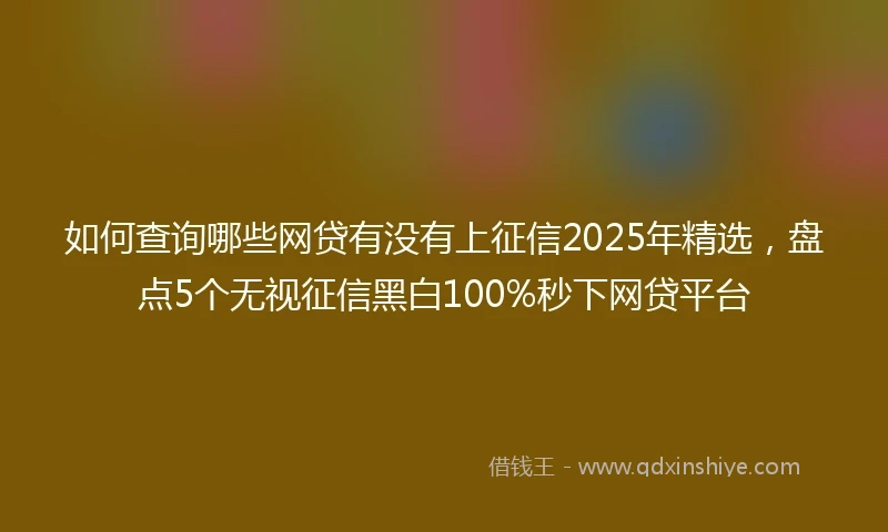 如何查询哪些网贷有没有上征信2025年精选，盘点5个无视征信黑白100%秒下网贷平台