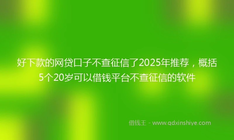 好下款的网贷口子不查征信了2025年推荐，概括5个20岁可以借钱平台不查征信的软件