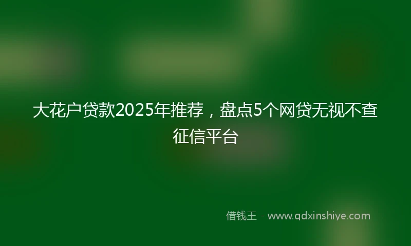 大花户贷款2025年推荐，盘点5个网贷无视不查征信平台