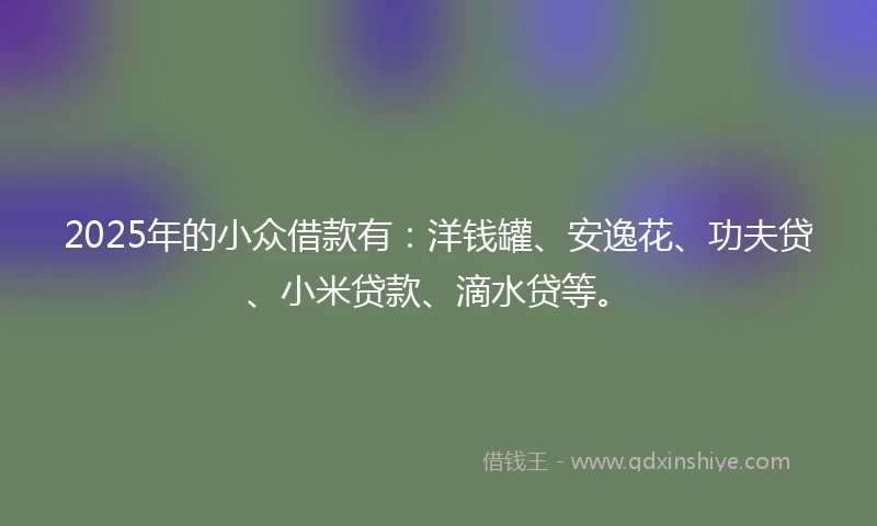 2025年的小众借款有：洋钱罐、安逸花、功夫贷、小米贷款、滴水贷等。