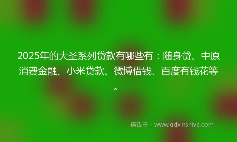 2025年的大圣系列贷款有哪些有：随身贷、中原消费金融、小米贷款、微博借钱、百度有钱花等。