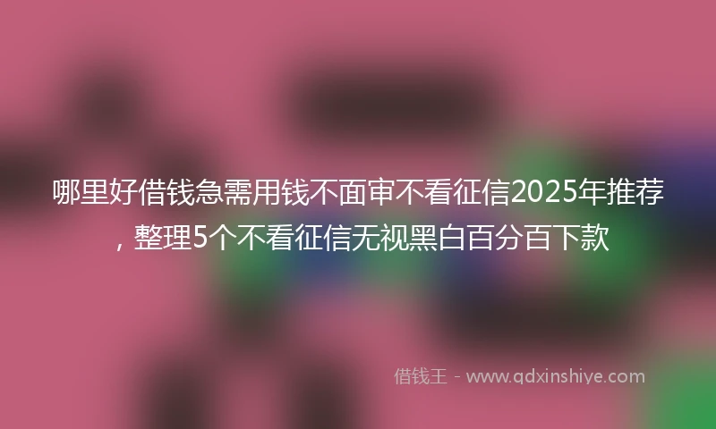 哪里好借钱急需用钱不面审不看征信2025年推荐，整理5个不看征信无视黑白百分百下款