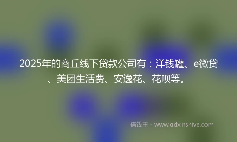 2025年的商丘线下贷款公司有：洋钱罐、e微贷、美团生活费、安逸花、花呗等。