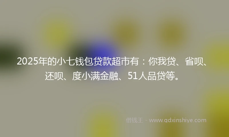 2025年的小七钱包贷款超市有：你我贷、省呗、还呗、度小满金融、51人品贷等。