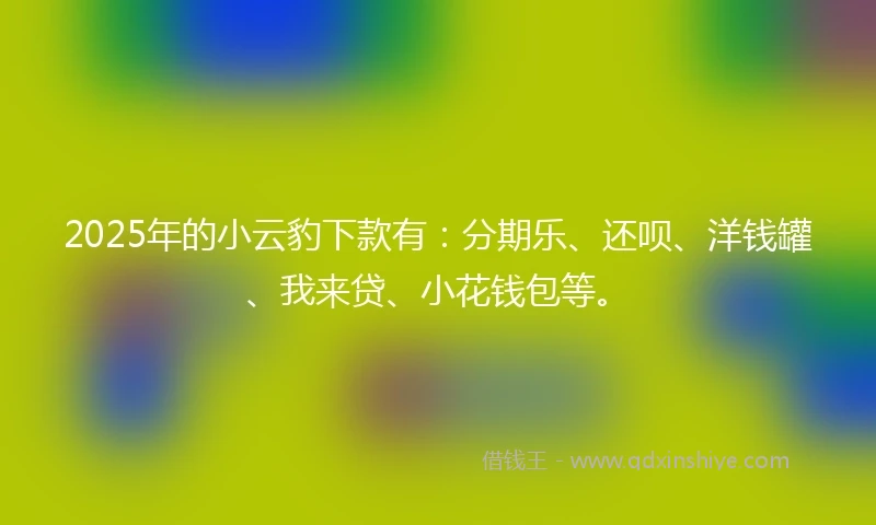2025年的小云豹下款有：分期乐、还呗、洋钱罐、我来贷、小花钱包等。