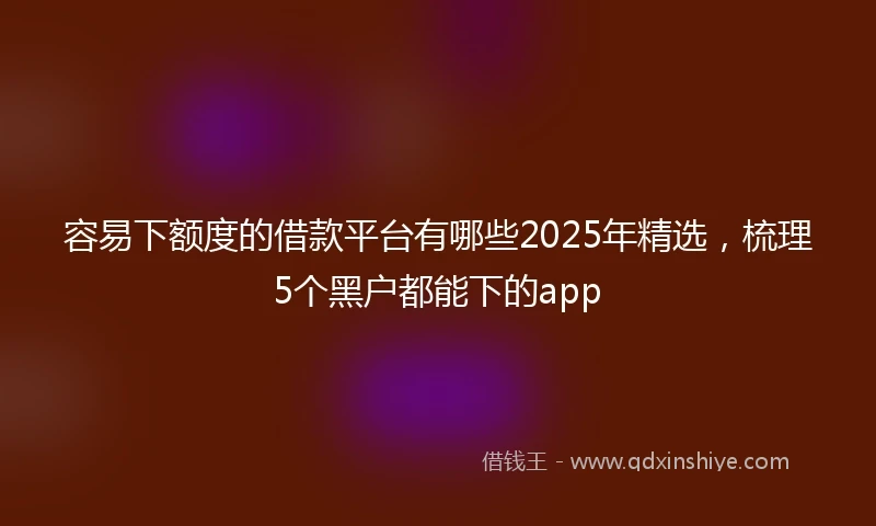 容易下额度的借款平台有哪些2025年精选，梳理5个黑户都能下的app