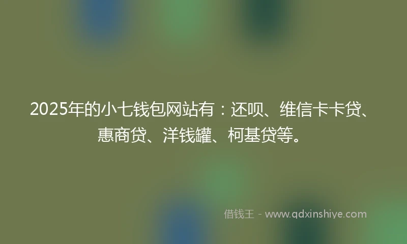 2025年的小七钱包网站有：还呗、维信卡卡贷、惠商贷、洋钱罐、柯基贷等。