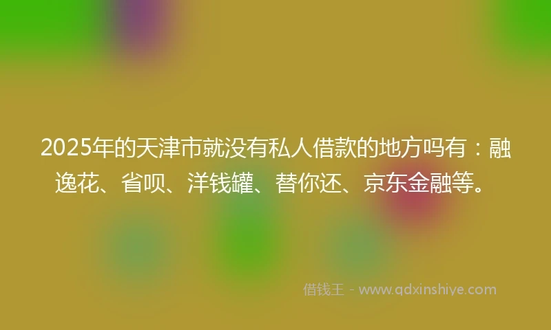 2025年的天津市就没有私人借款的地方吗有：融逸花、省呗、洋钱罐、替你还、京东金融等。