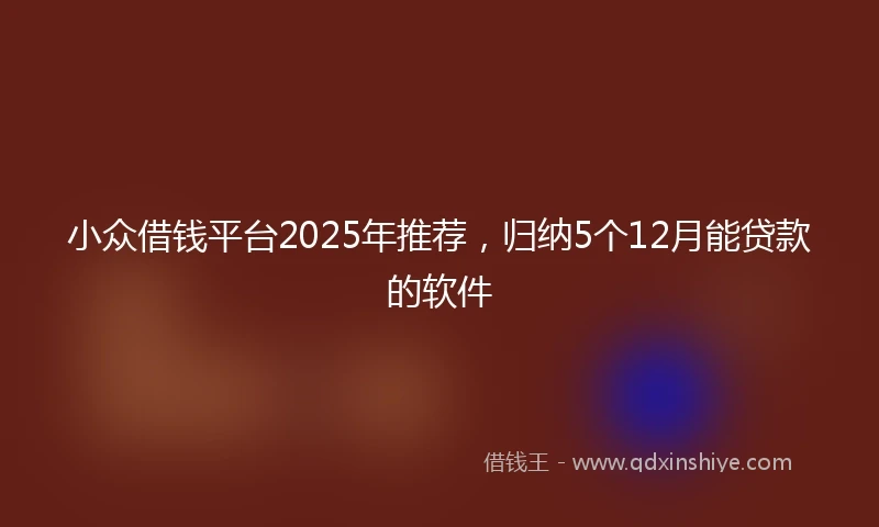 小众借钱平台2025年推荐，归纳5个12月能贷款的软件