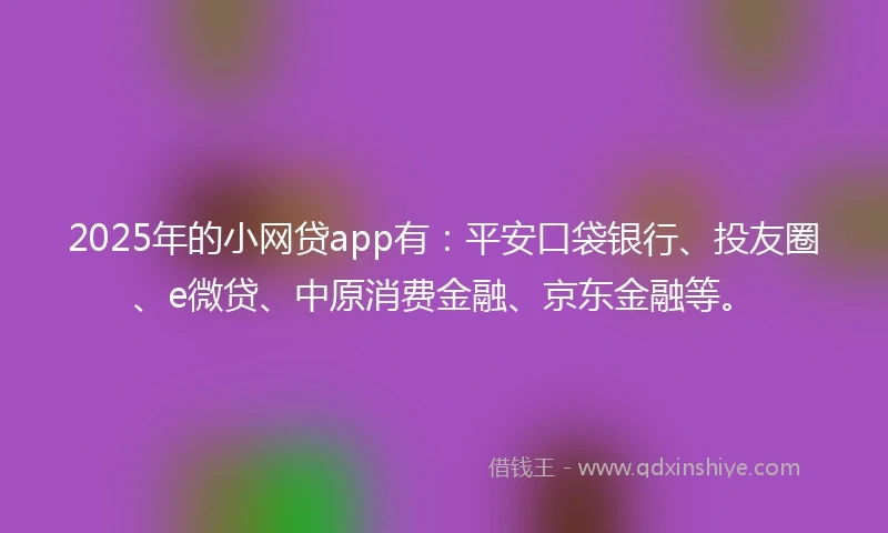 2025年的小网贷app有：平安口袋银行、投友圈、e微贷、中原消费金融、京东金融等。