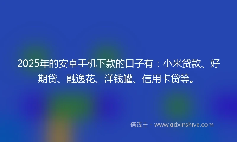 2025年的安卓手机下款的口子有：小米贷款、好期贷、融逸花、洋钱罐、信用卡贷等。