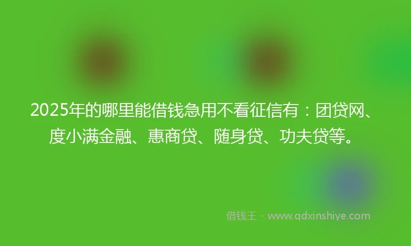 2025年的哪里能借钱急用不看征信有：团贷网、度小满金融、惠商贷、随身贷、功夫贷等。