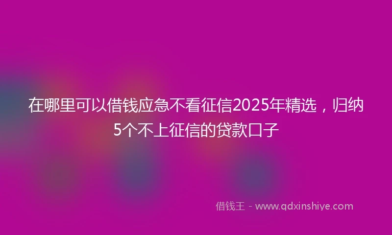 在哪里可以借钱应急不看征信2025年精选，归纳5个不上征信的贷款口子