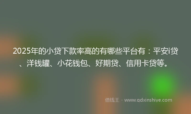 2025年的小贷下款率高的有哪些平台有：平安i贷、洋钱罐、小花钱包、好期贷、信用卡贷等。