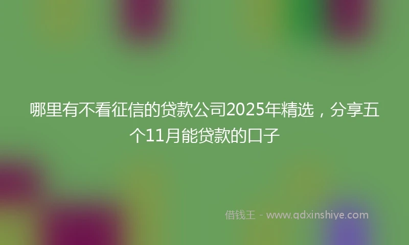 哪里有不看征信的贷款公司2025年精选，分享五个11月能贷款的口子