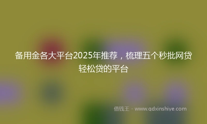 备用金各大平台2025年推荐，梳理五个秒批网贷轻松贷的平台