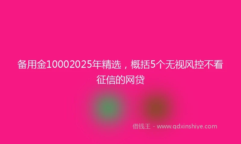 备用金10002025年精选，概括5个无视风控不看征信的网贷