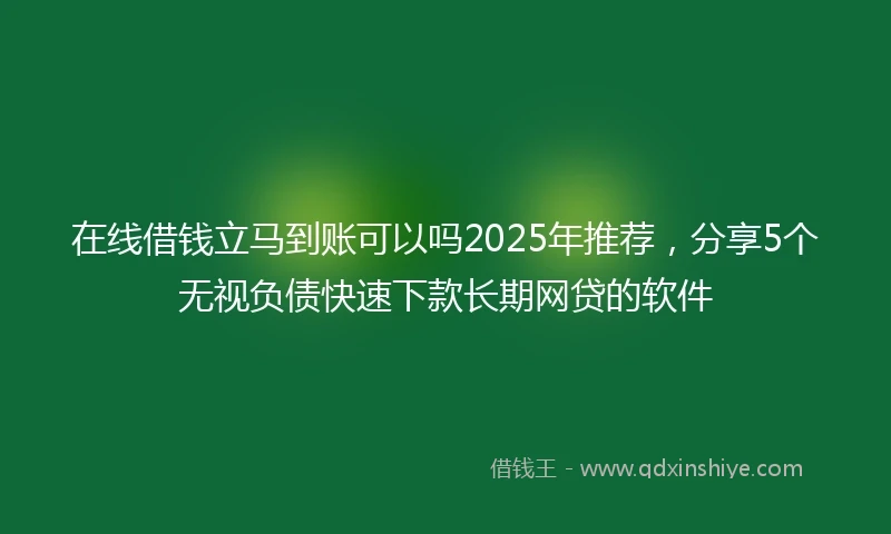 在线借钱立马到账可以吗2025年推荐，分享5个无视负债快速下款长期网贷的软件