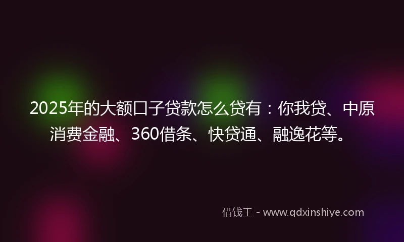 2025年的大额口子贷款怎么贷有：你我贷、中原消费金融、360借条、快贷通、融逸花等。